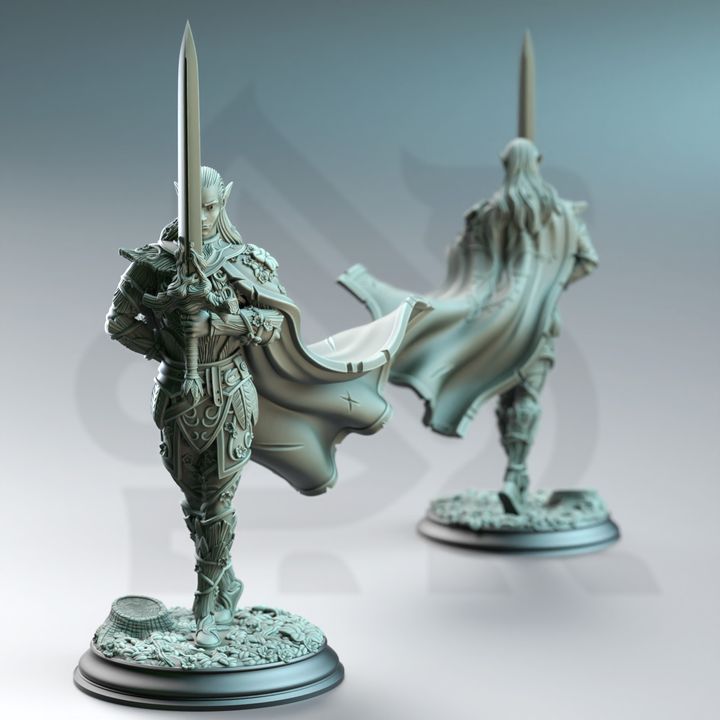 Fantasy Female Wood Elf Warrior Druid - Fey Elf Duelist by DM Stash