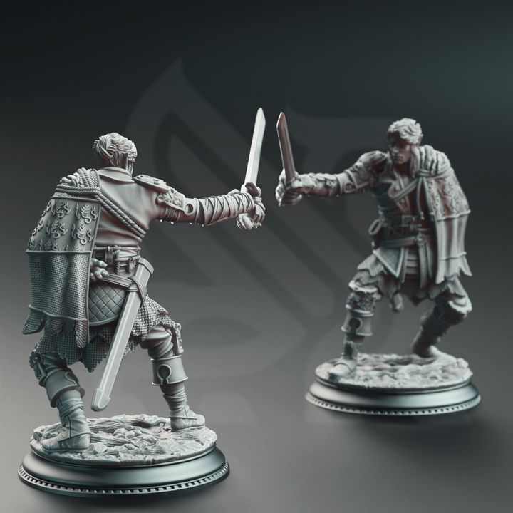 Pirate Duelist Sword Fighter - Half-Elf Swashbuckler by DM Stash