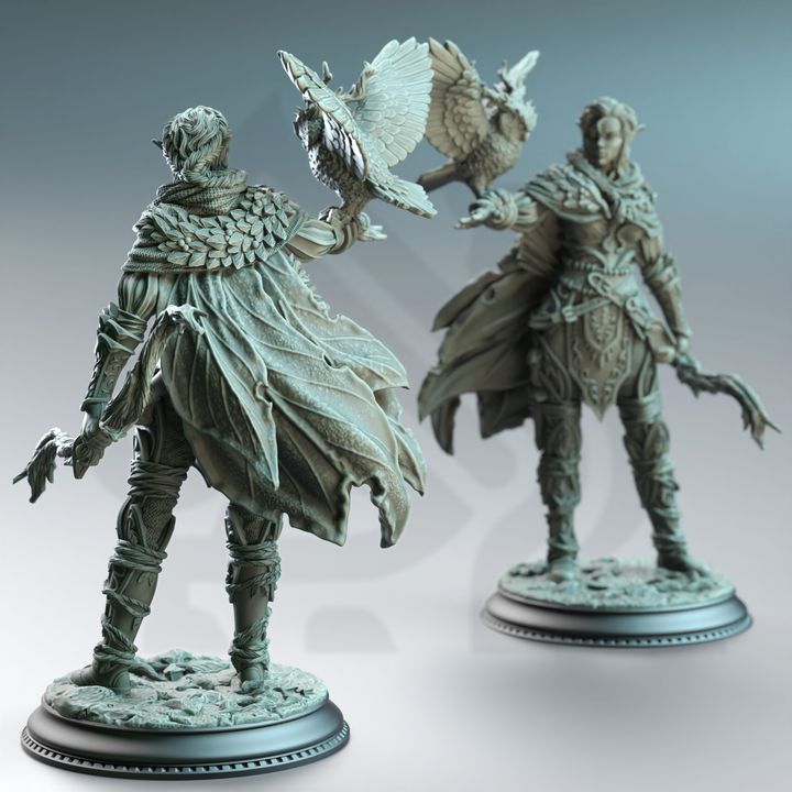 Owl Familiar Female Archer Beastmaster - Elf Feywalker Ranger by DM Stash