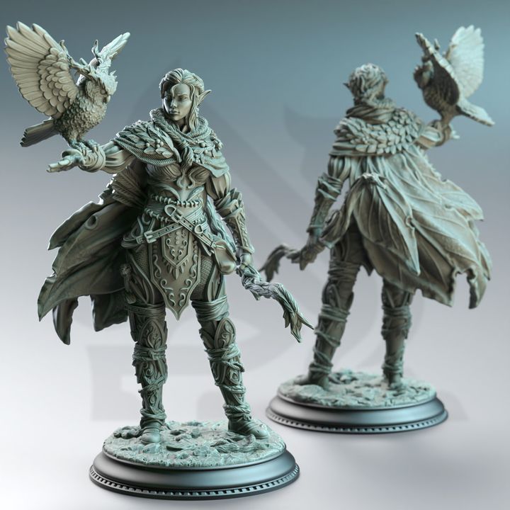 Owl Familiar Female Archer Beastmaster - Elf Feywalker Ranger by DM Stash