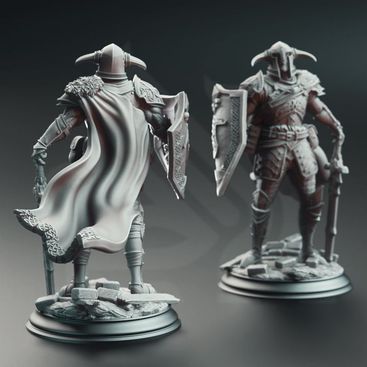 Norse Warrior Sword Shield Fighter - Nordic Paladin by DM Stash