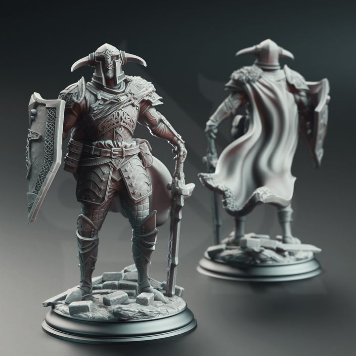 Norse Warrior Sword Shield Fighter - Nordic Paladin by DM Stash