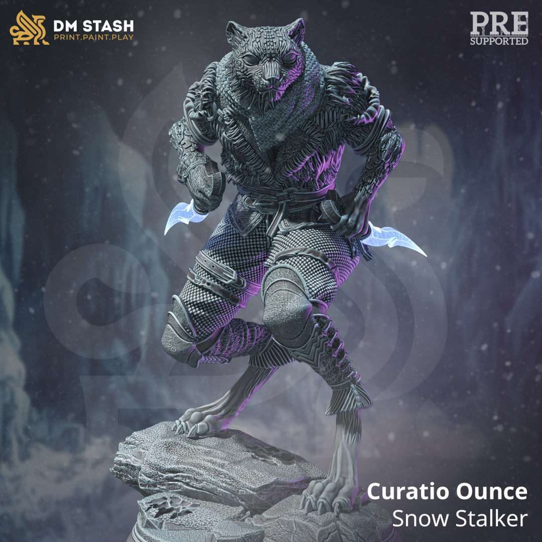 Dual Dagger Cat Folk Assassin 32mm Scale - Tabaxi Snow Leopard Rogue by DM Stash