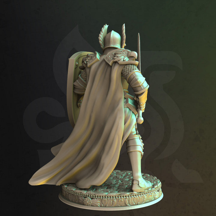 Royal Guard Elf Human Knight Shield and Sword Miniature  32mm Scale  - Sergeant Silus by DM Stash