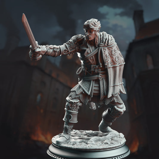 Pirate Duelist Sword Fighter - Half-Elf Swashbuckler by DM Stash