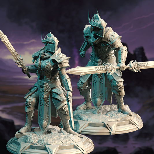 Elven Royal Guard Warriors Male Female Duet 32mm Scale - High Elf Soldiers by DM Stash