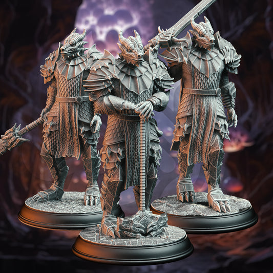 Dragonborn Warriors Spear Hammer Sword 3 forms 32mm Scale - Dragon Knights by DM Stash