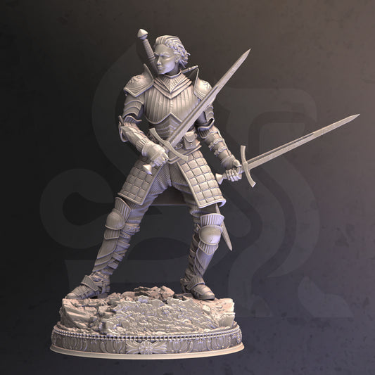 Royal Female Knight Dual Sword Paladin Fighter 32mm Scale - Grand Marshal by DM Stash